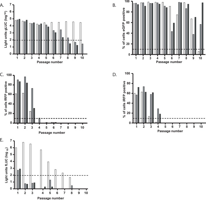 Fig 3