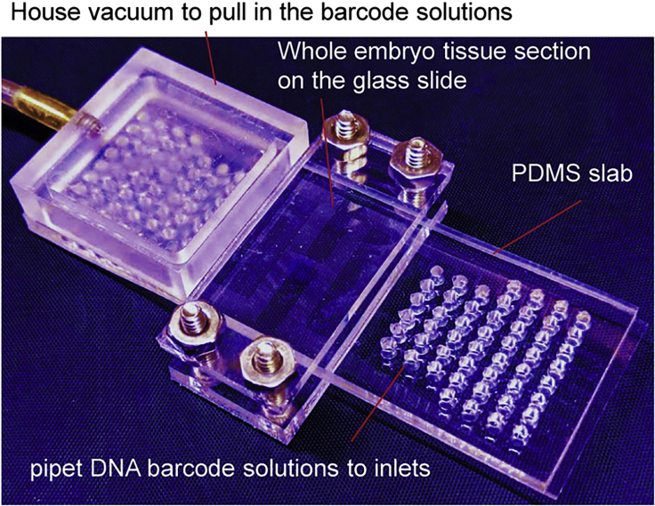 Figure 6