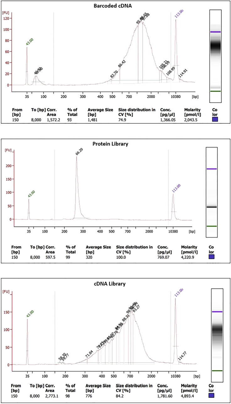 Figure 9