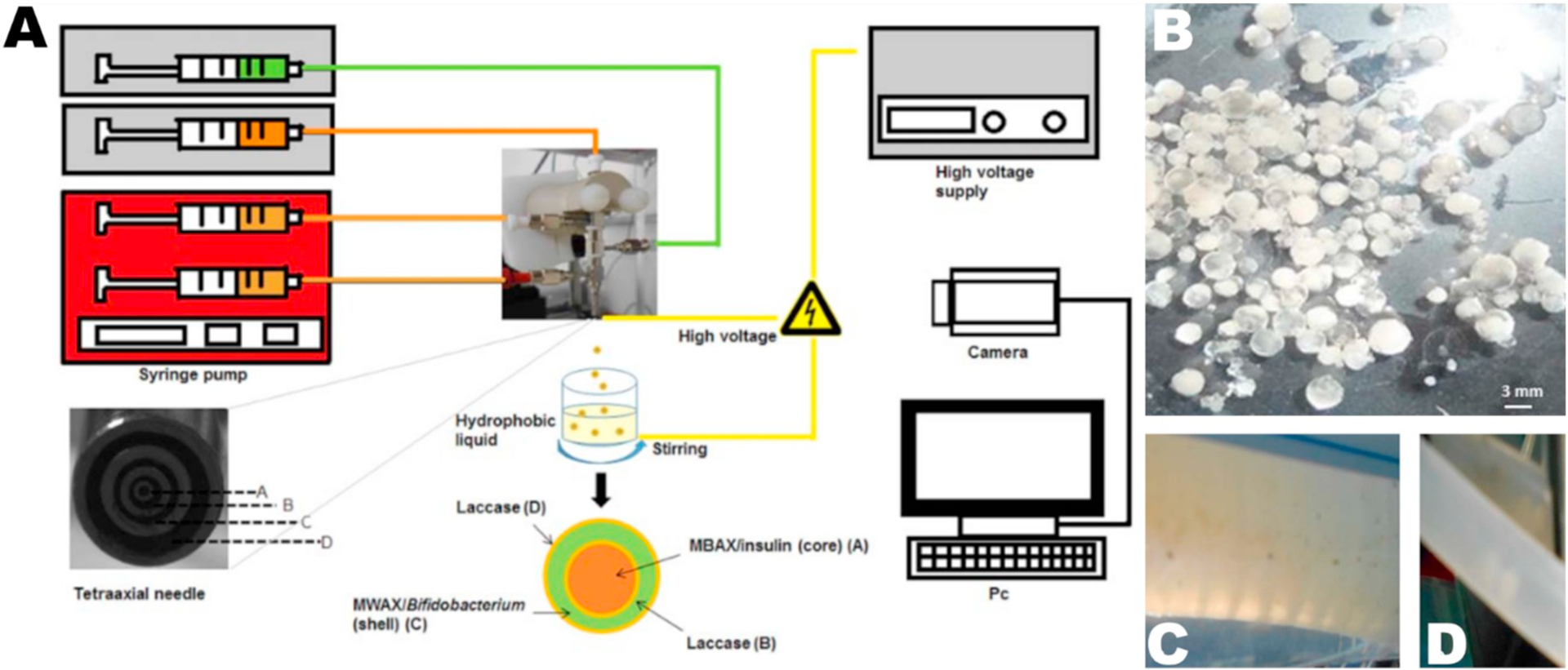 Fig. 7.