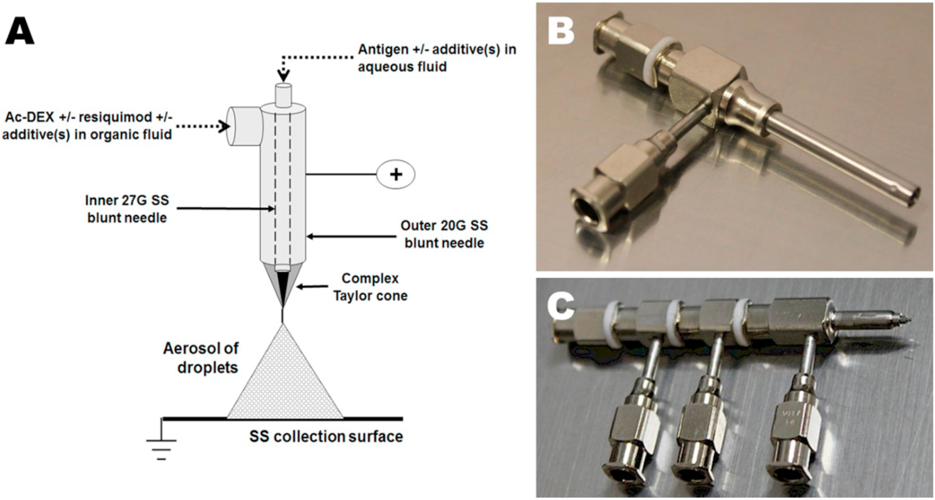 Fig. 1.