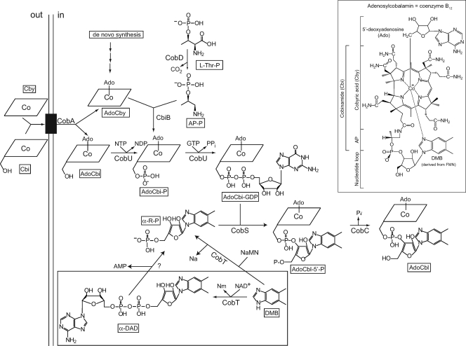 FIG. 1.