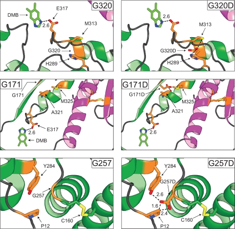 FIG. 4.