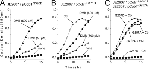 FIG. 2.