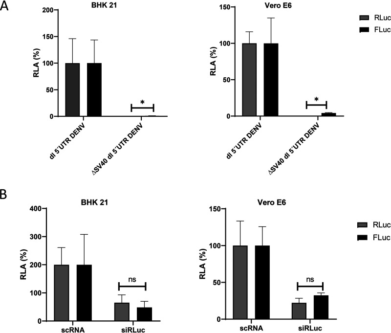 FIG 6