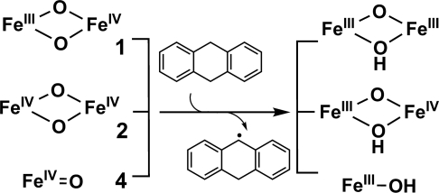 Scheme. 2.