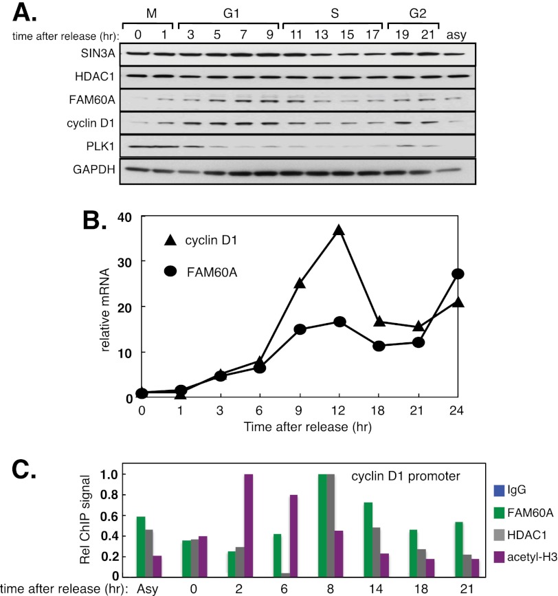 FIGURE 4.