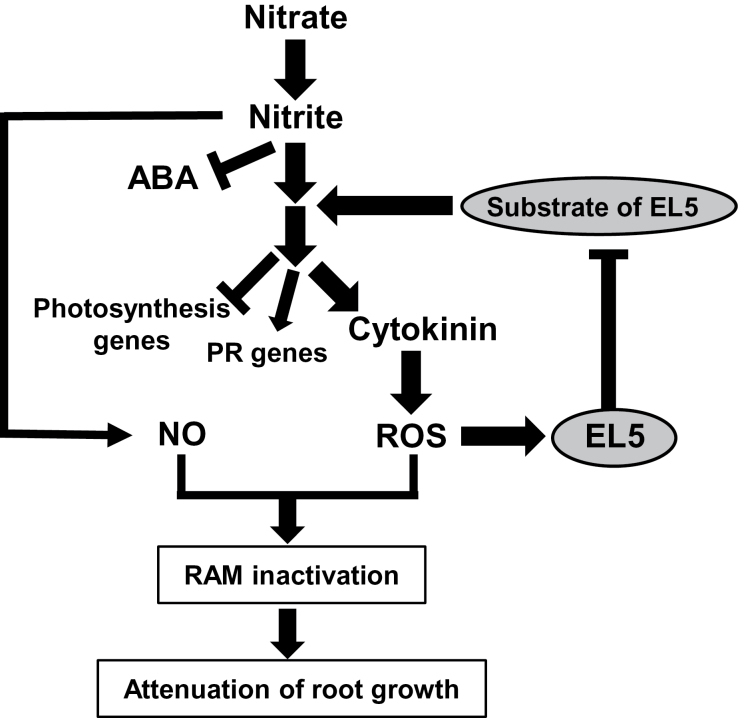 Fig. 8.