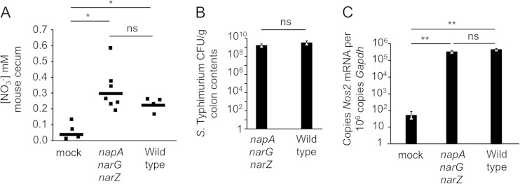 FIG 4