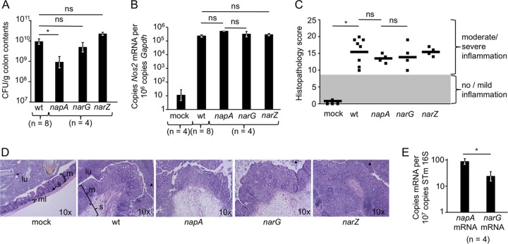 FIG 3