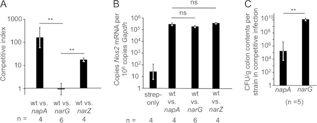 FIG 2