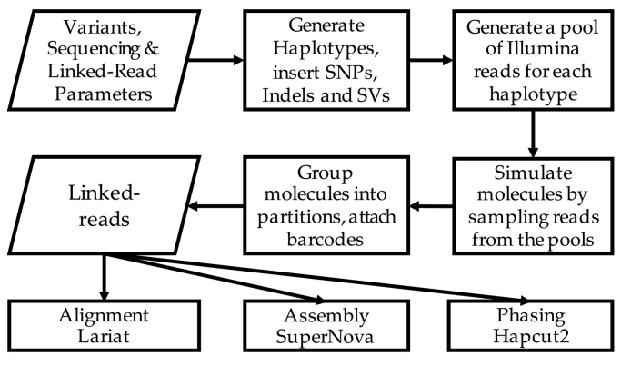 Fig. 8