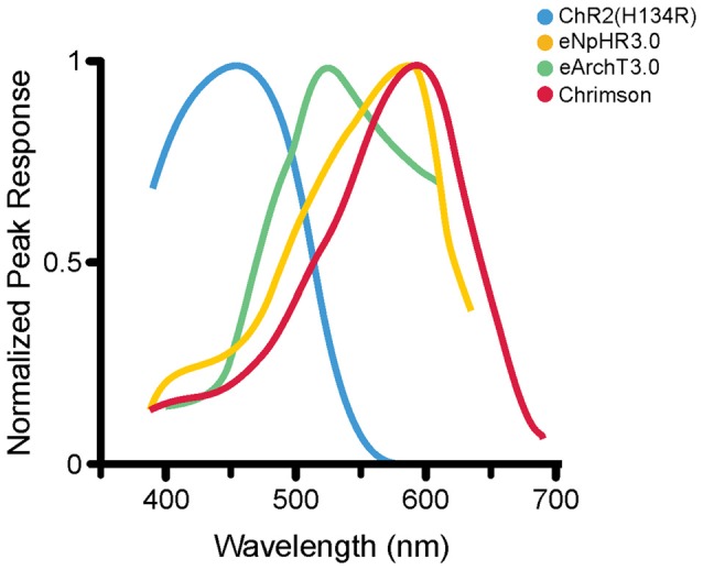 Figure 2