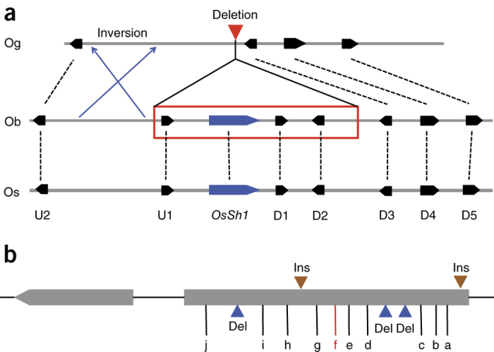 Figure 5