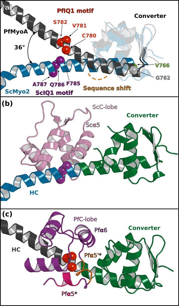 Figure 4—figure supplement 2.