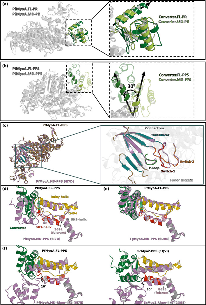 Figure 1—figure supplement 4.