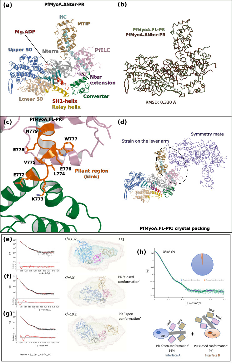 Figure 1—figure supplement 2.