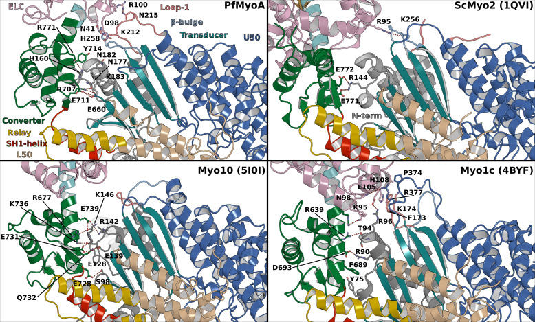 Figure 6—figure supplement 2.