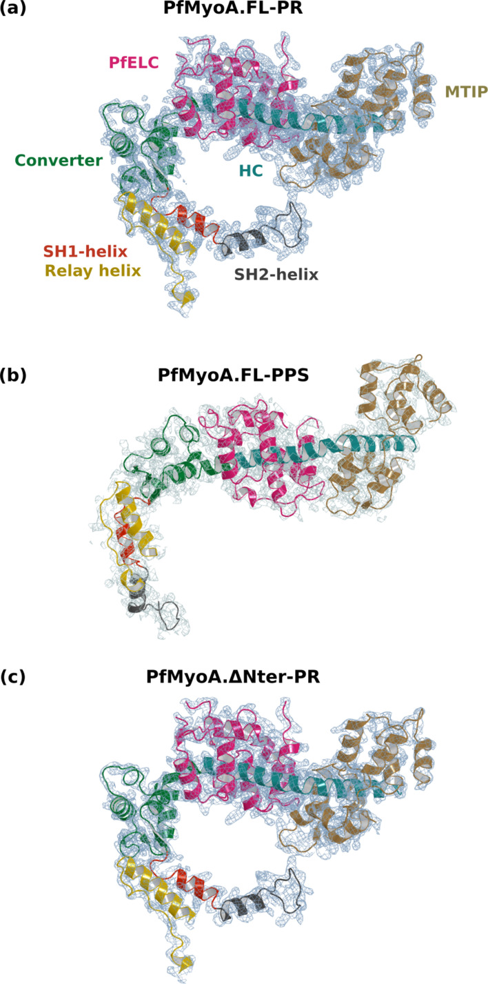 Figure 1—figure supplement 3.