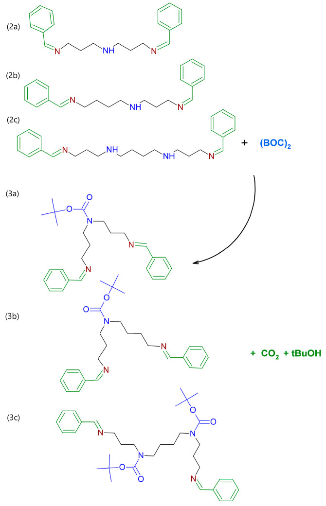 Scheme 2