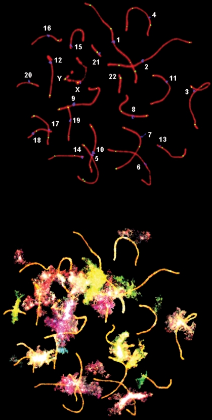 Figure 1: