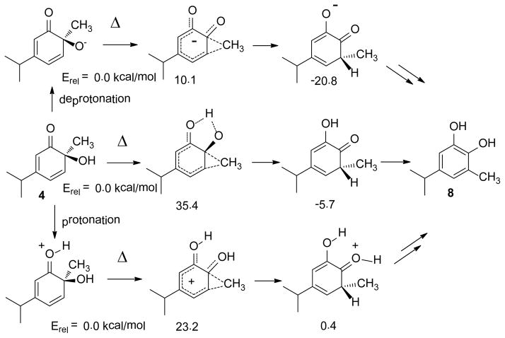 Scheme 5