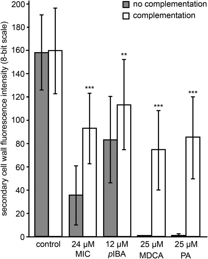 Figure 14.