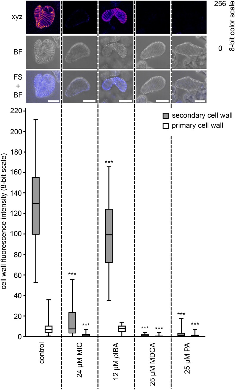 Figure 13.