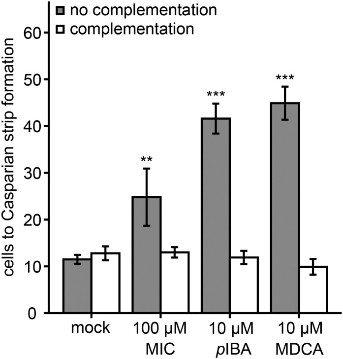 Figure 11.