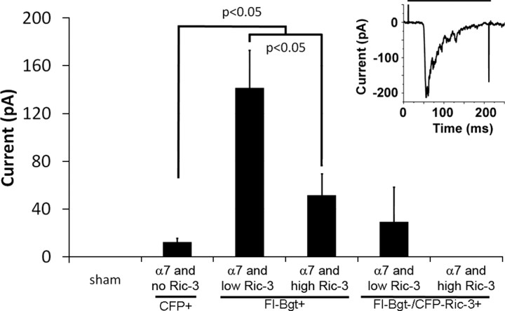 Figure 3.