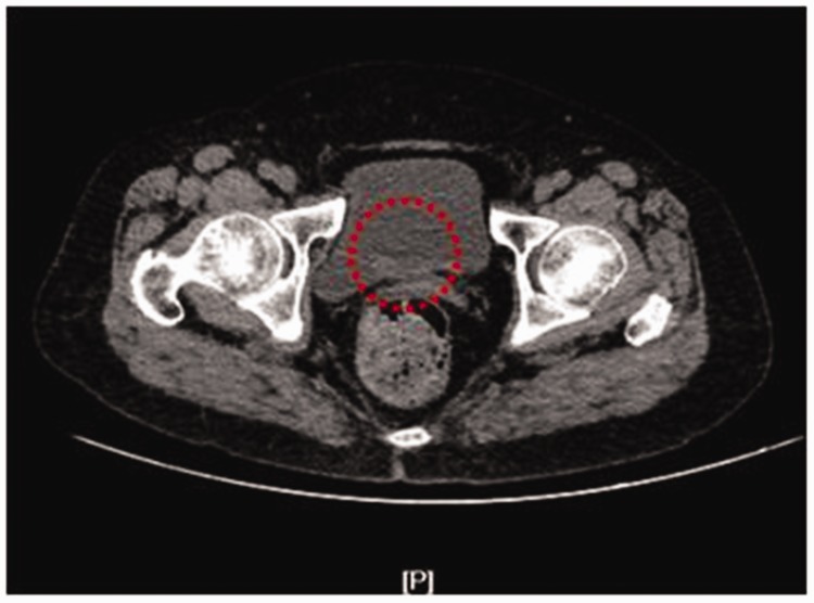 Figure 1.