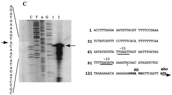 FIG. 6