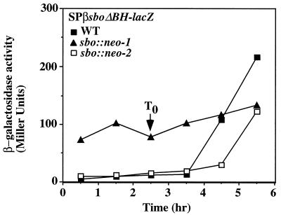 FIG. 7