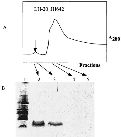 FIG. 4