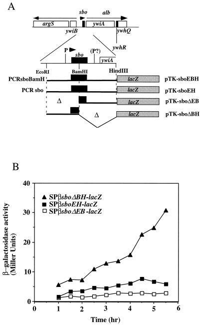 FIG. 6