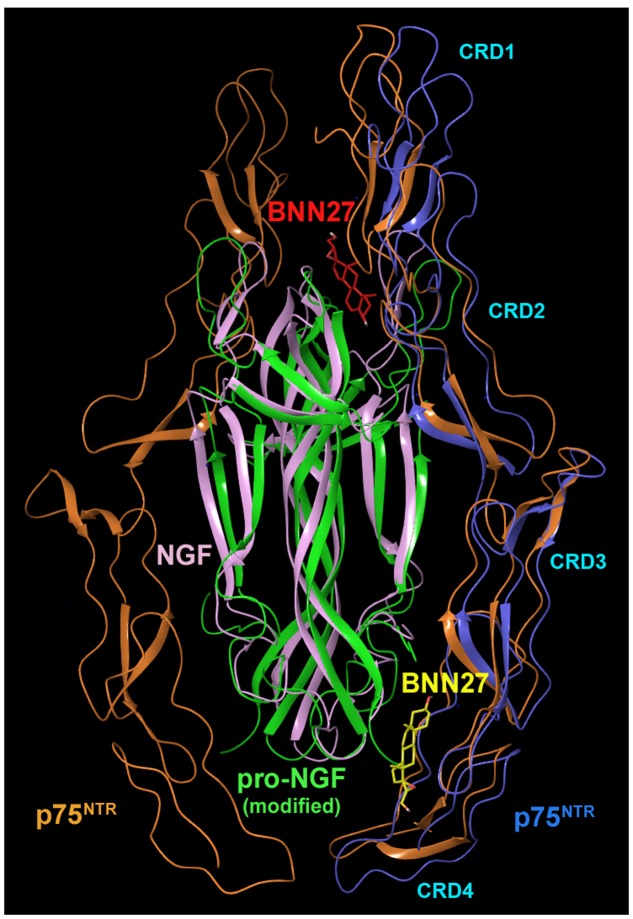 FIGURE 2