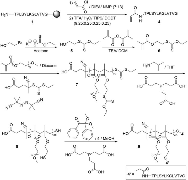 Scheme 2