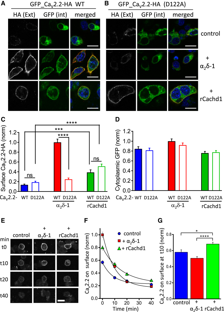 Figure 3