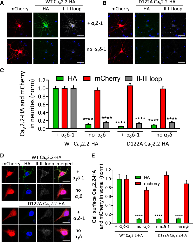 Figure 4