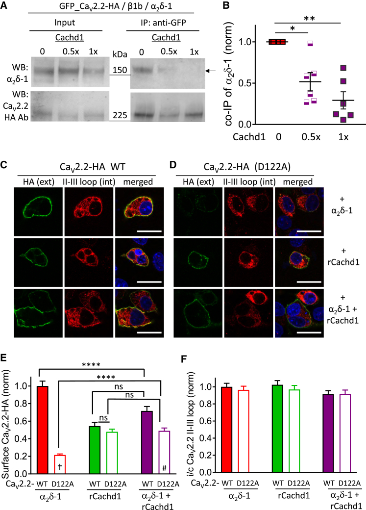 Figure 6