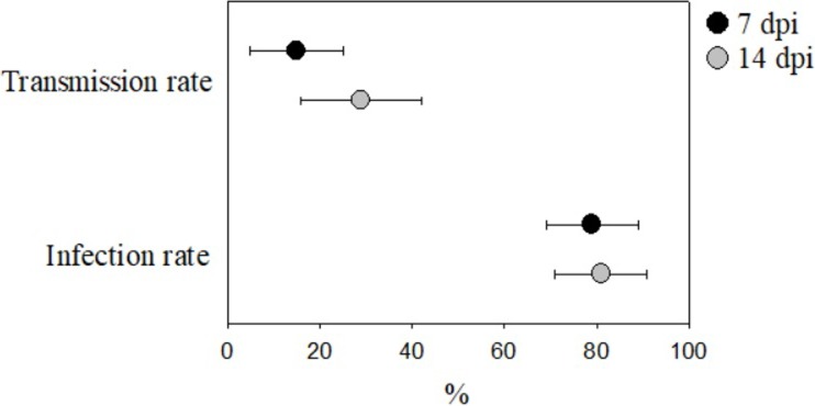 Fig 2