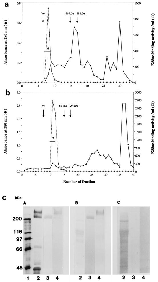 FIG. 6