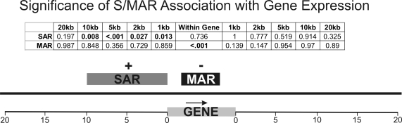 Figure 5.