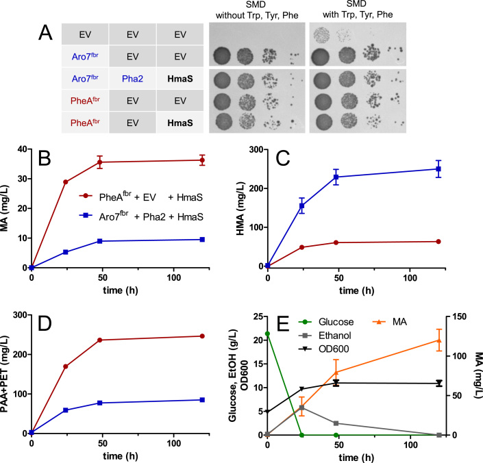 Fig. 4