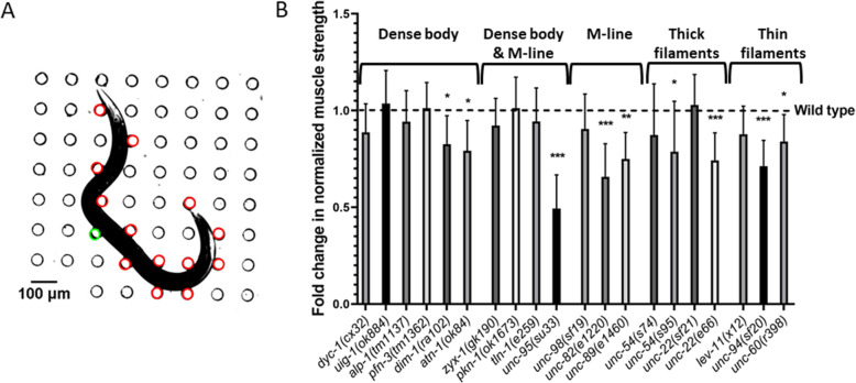 Fig. 2