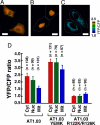 Fig. 4.