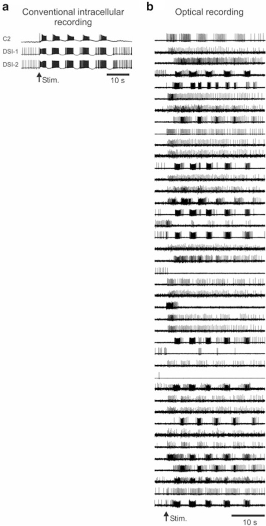 Fig. 5.1