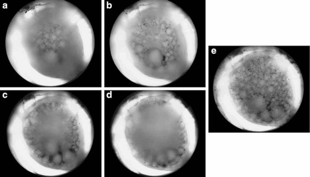 Fig. 5.5