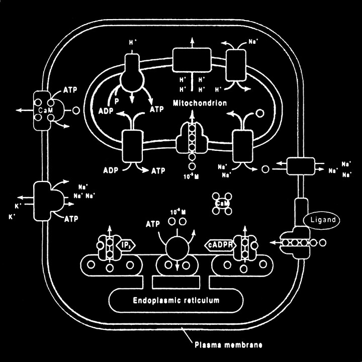 fig 10.