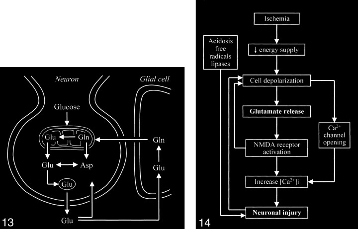 fig 13.